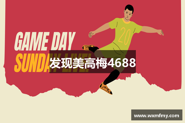 发现美高梅4688